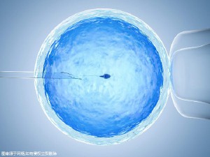 智能实验室